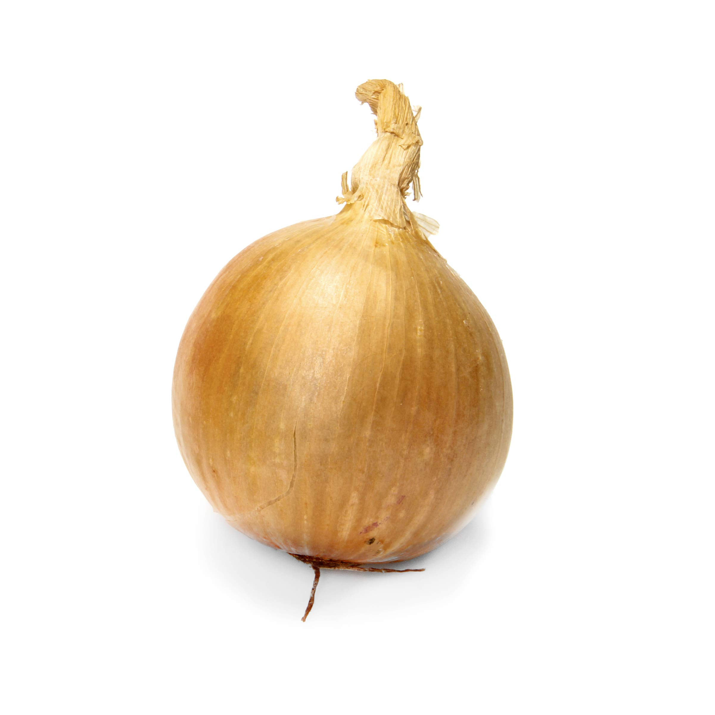Organic Yellow Onion | Amazon (US)