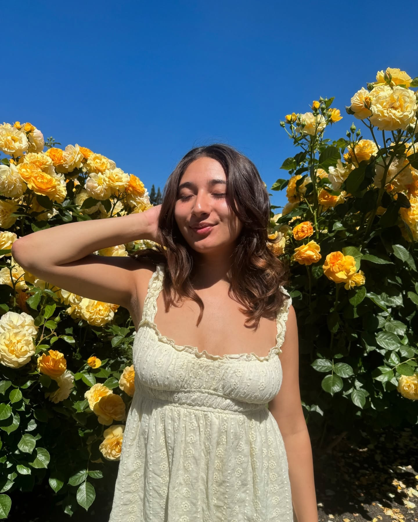 sunny days