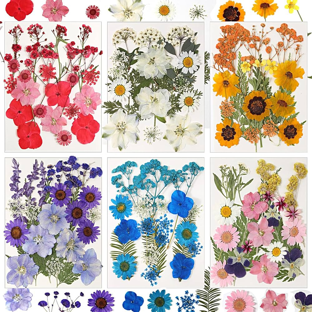 CONVELIFE Dried Flowers , 103pcs Natural Flowers and Leaves Compressed with Tweezers, Vacuum Pack... | Amazon (US)