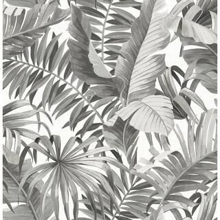 A-Street Prints Alfresco Black Palm Leaf Paper Strippable Roll Wallpaper (Covers 56.4 sq. ft.) | The Home Depot