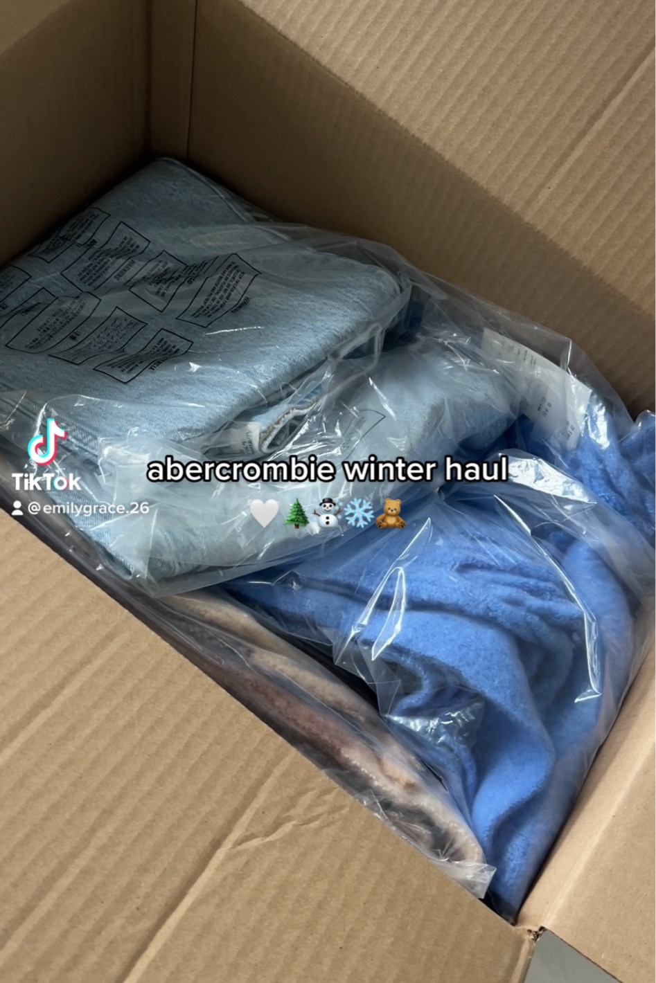 Abercrombie winter haul 

#LTKHoliday #LTKunder100 #LTKsalealert