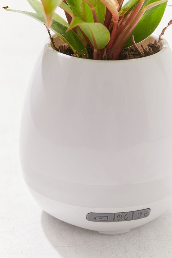 Planter Bluetooth Speaker | Urban Outfitters (US and RoW)