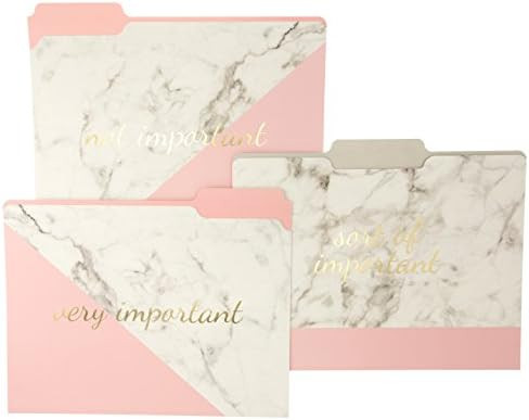 Graphique Blush Marble File Folder Set – File Set Includes 9 Folders and 3 Unique "Important" D... | Amazon (US)