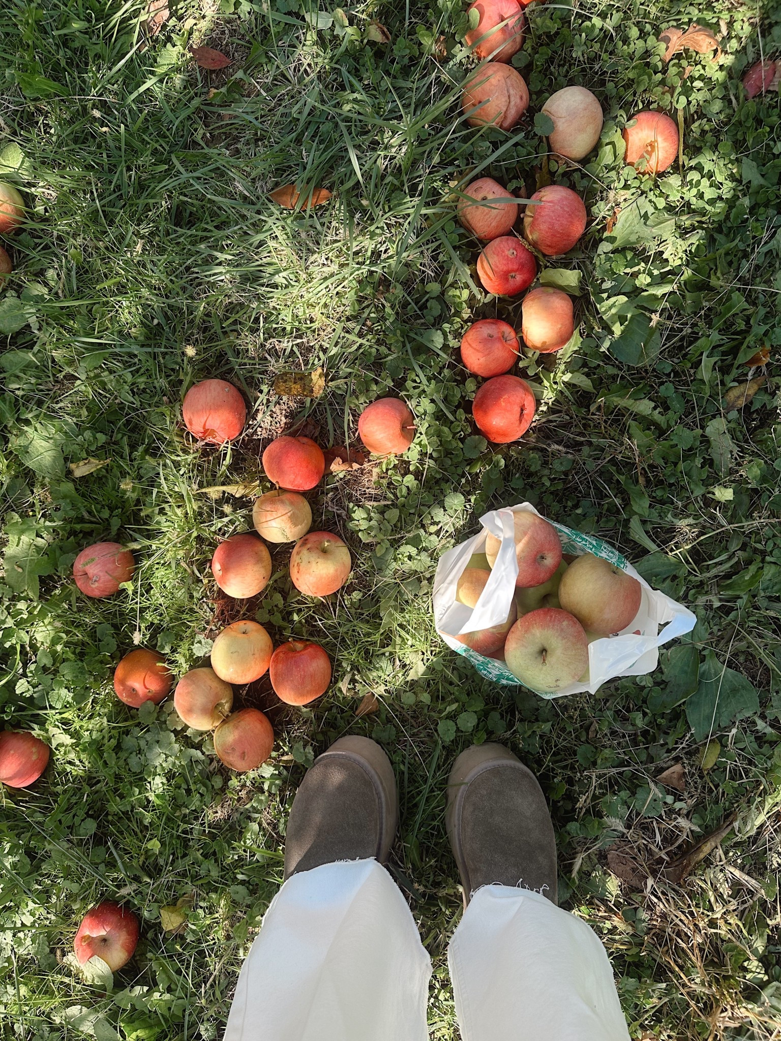 Obsessed with these boots. Look just like my mini Ugg platform boots but only $40! Runs TTS.

#LTKShoeCrush #LTKStyleTip #LTKSeasonal