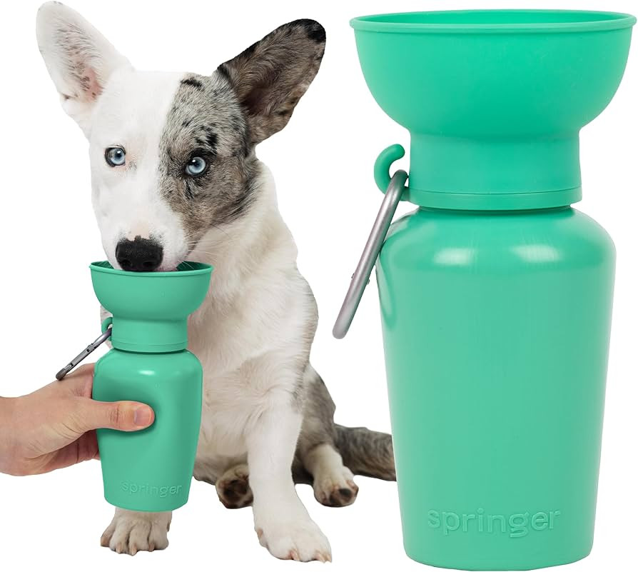 Springer Flip Portable Dog Water Bottle with Foldable Food Grade Silicone Bowl - 20 Ounce Travel ... | Amazon (US)