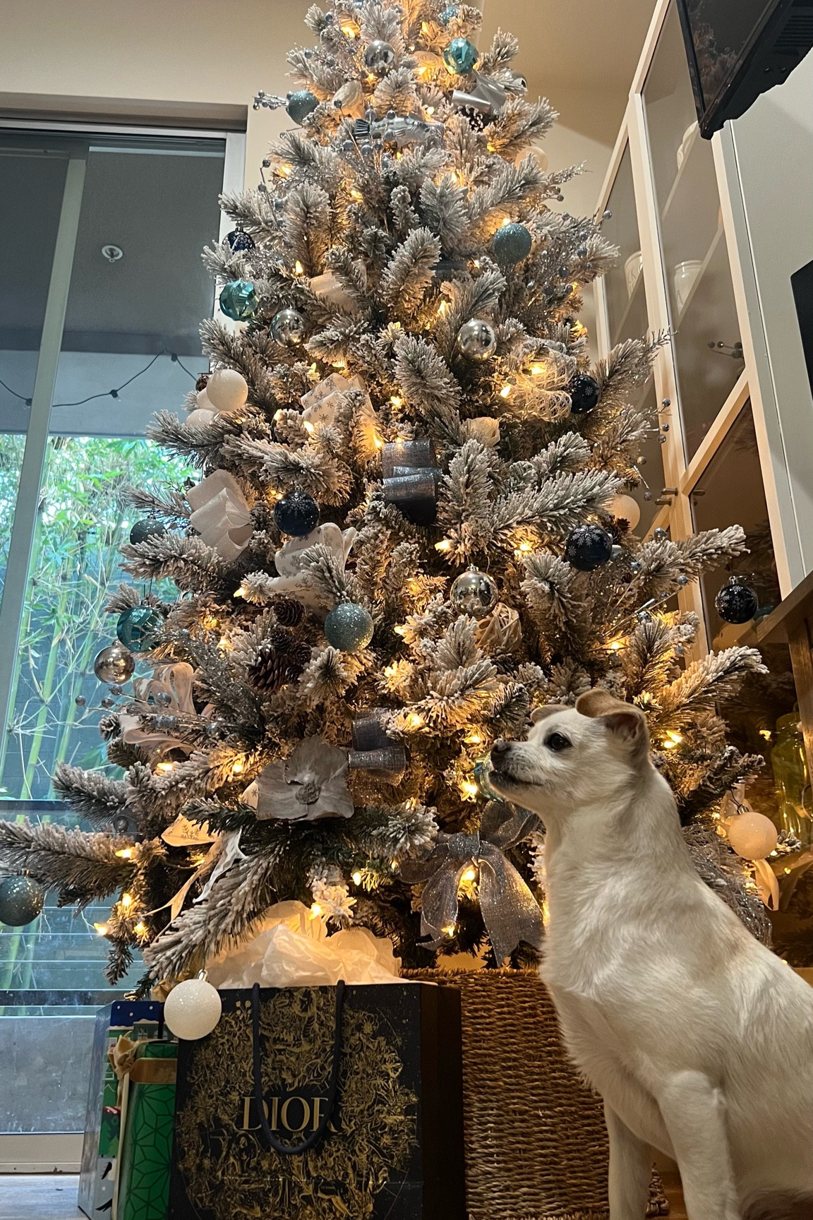 Just put up my Christmas tree! Here’s what i used to make this incredible tree (I’ve never made one this good before ahh!) 

Perfect for: 
Gift guide
Gifts for her
Christmas decor
Christmas tree
Christmas
Holiday party

#LTKGiftGuide #LTKHoliday #LTKCyberWeek