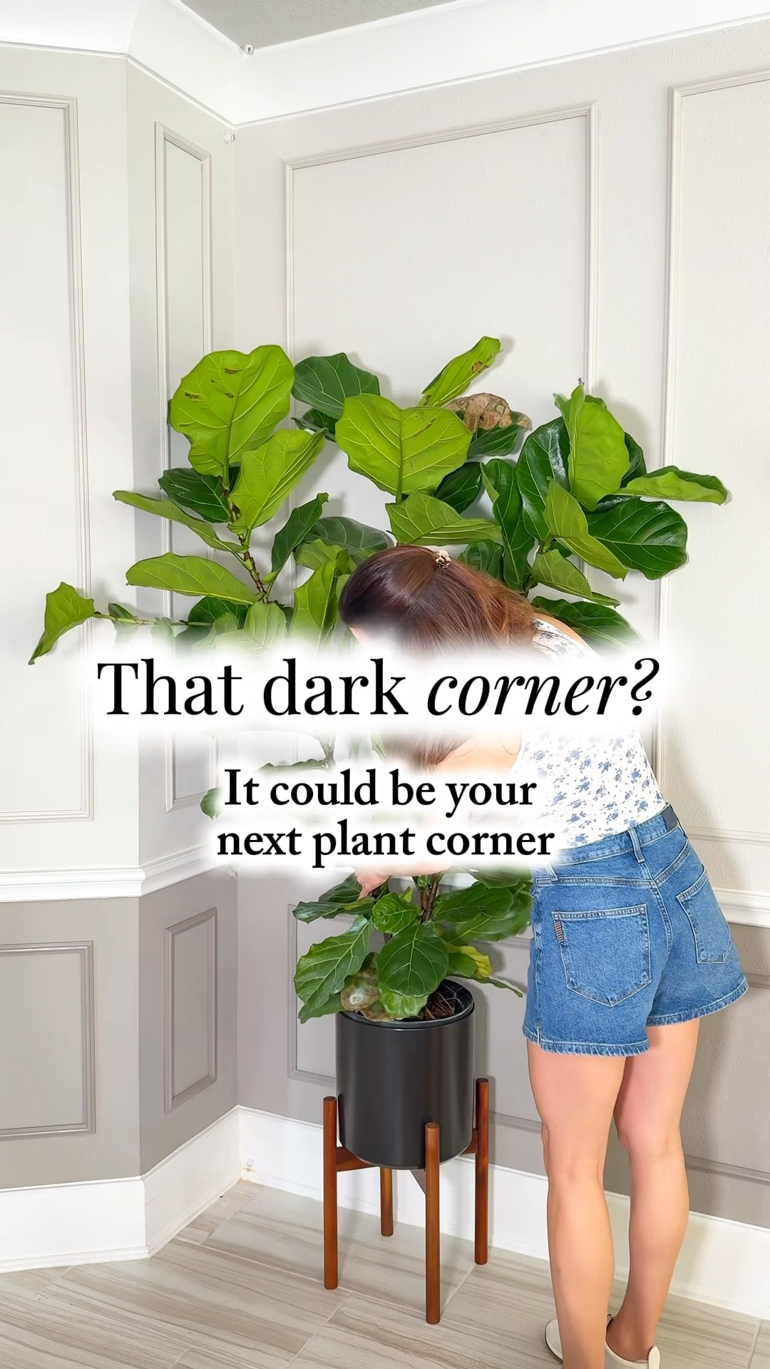 I’ve been using the Barrina OG11D 4000K Full Spectrum, and I love how clean and simple it looks mixed in with my home decor. The adjustable brightness and automatic timer make keeping a consistent lighting routine so easy.

A simple setup that keeps my plants happy without taking over the room. 🪴

Comment “DETAILS” for the link and I’ll send you my 20% discount code too! 💚

#Barrina #GrowLights #Houseplants #PlantCare #IndoorPlants