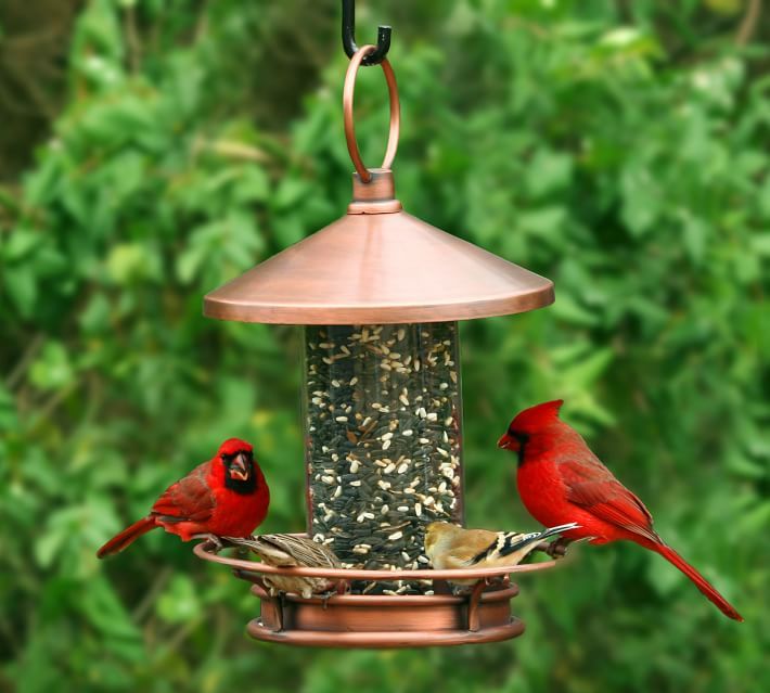 Classic Copper Bird Feeder | Pottery Barn (US)