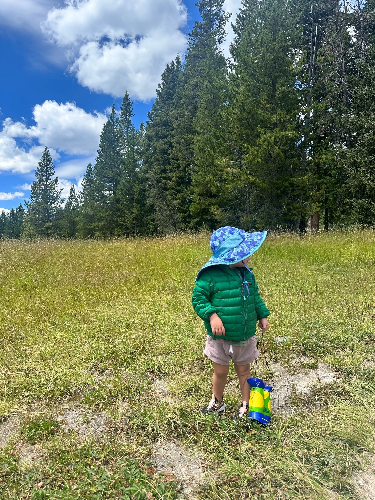 ✨ Prime Day Outdoor Kid Finds ✨
For the little explorers who turn every walk into an adventure 🌲🔎
A couple of our favorite outdoor essentials are on Prime Day deal:
☀️ Sunday Afternoons kids sun hat — lightweight, comfy + perfect for hikes, camping, and long days outside
🌿 GeoSafari Kidnoculars — kid-friendly binoculars for spotting birds, wildlife, and all the “treasures” along the trail 🐿️
Easy ways to encourage outdoor play + curiosity (and maybe buy yourself 5 minutes while they inspect every rock 😂)
Linking these adventure favorites! 🛒✨
#LTKKids #LTKFamily #LTKFinds #LTKSaleAlert #PrimeDayDeals #AmazonKidsFinds #OutdoorKids #AdventureKids #HikingWithKids #CampingWithKids #NaturePlay #KidsWhoExplore #ToddlerMustHaves #MomOfThree

#LTKmomlife #LTKKids #LTKTravel