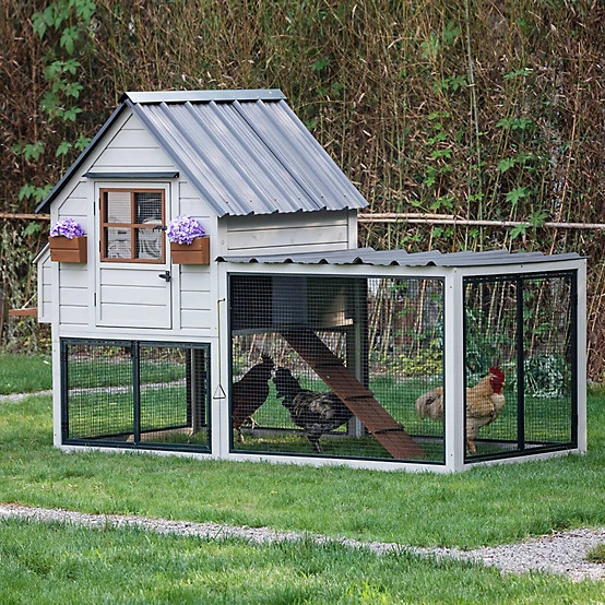Producer's Pride  Villa Chicken Coop, 12 Chicken Capacity | Tractor Supply
