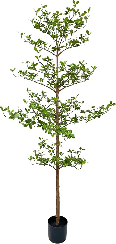 Artificial Black Olive Tree, 7FT Tall Faux Shady Lady Tree with Potted, Fake Olive Tree for Home ... | Amazon (US)