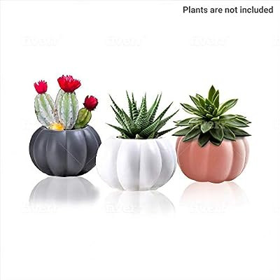 Ceramic Miniature Pumpkin Succulent Pots,Cute Halloween Decorations,Mini Pumpkin Cactus Planters,... | Amazon (US)