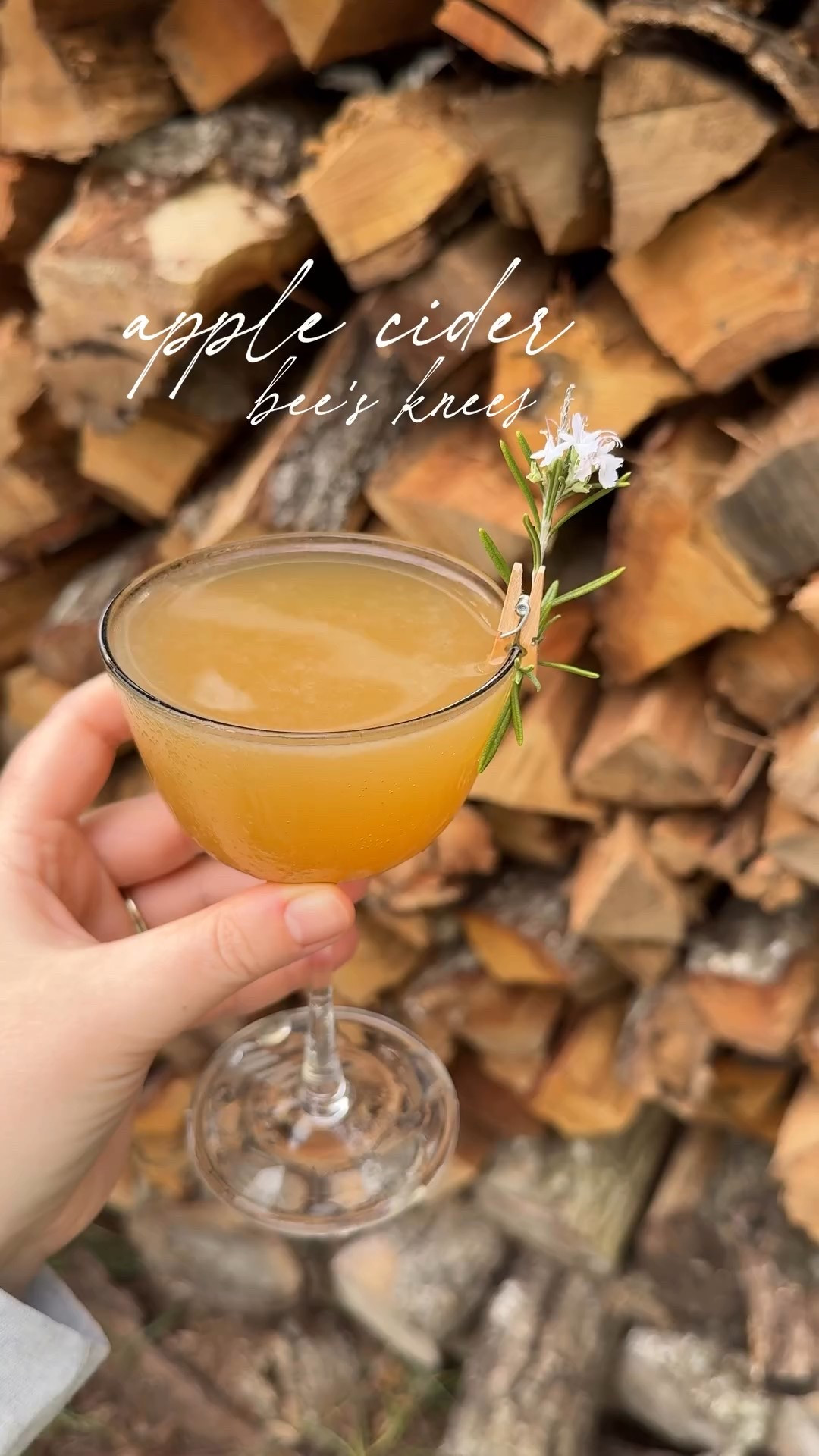 a potion worth saving🐝🍁

Apple Cider Bee’s Knees

- 2 oz apple cider
- 2 oz gin
- 3/4 oz honey syrup
- 3/4 oz lemon juice

Add all ingredients to a cocktail shaker filled with ice and shake until well chilled. Strain into a coupe glass and garnish with a sprig of rosemary.

- Brooke xx 

#beesknees #cocktailsathome #cocktailrecipes #recipeshare