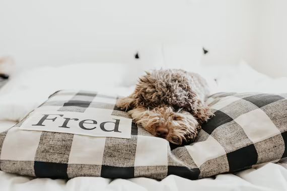 Plaid Dog Bed Cover  Dog Beds  Personalized Dog Bed  Custom | Etsy | Etsy (US)