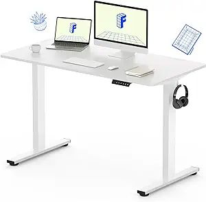 FLEXISPOT Electric Standing Desk Whole Piece 48 x 30 Inch Desktop Adjustable Height Desk Home Off... | Amazon (US)