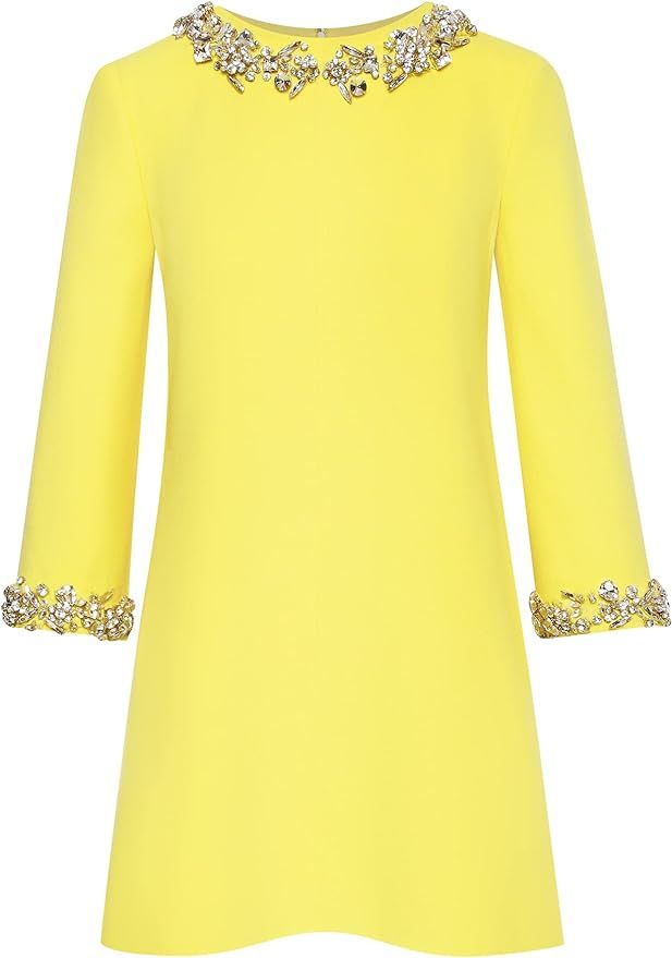 Amazon.com: Oscar de la Renta, Bracelet Sleeve Crystal Embroidered Dress | Amazon (US)