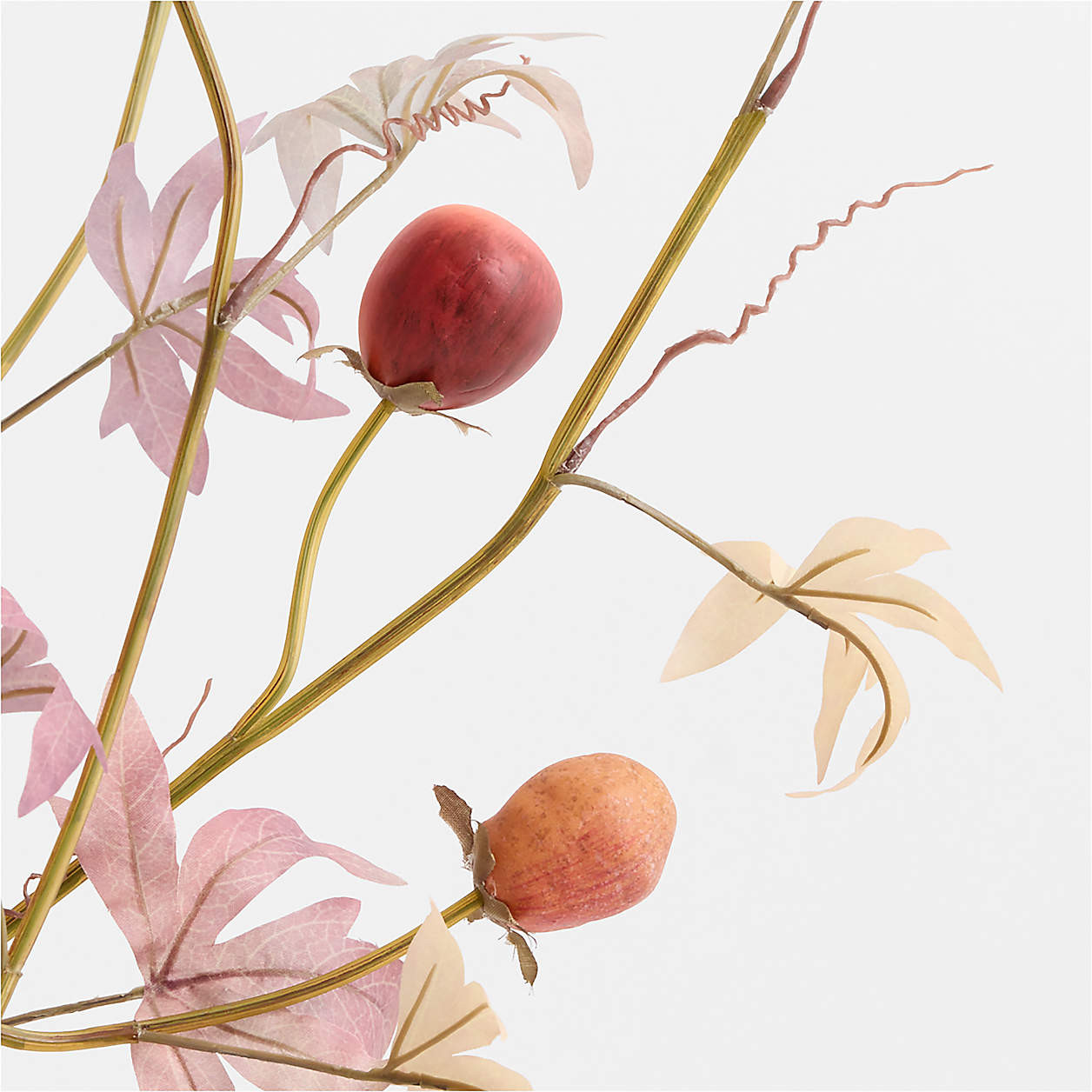 Faux Granadilla Spray 36" | Crate & Barrel | Crate & Barrel
