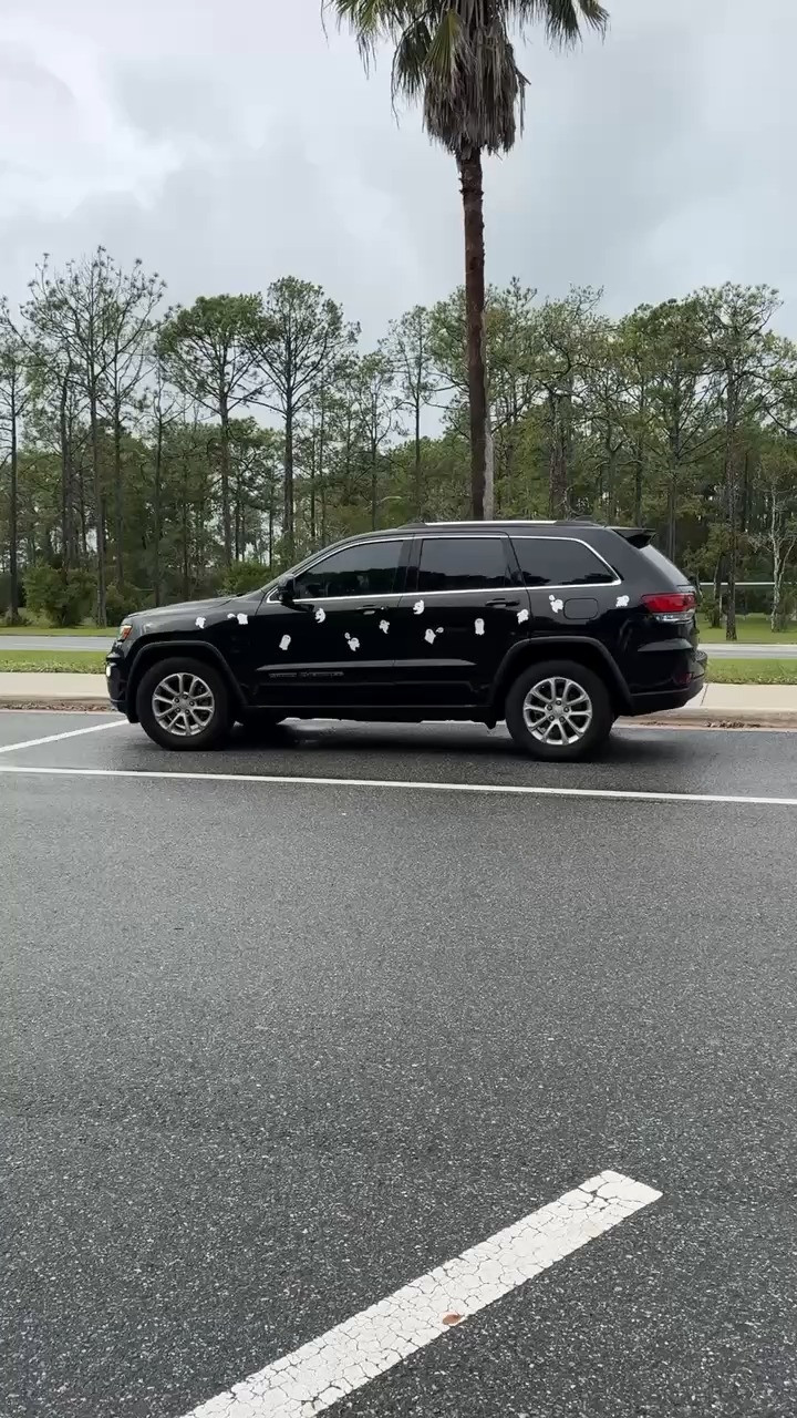Reflective car magnets for Halloween. They stayed on driving down the interstate! 

 #LTKHalloween #LTKKids #LTKFamily
