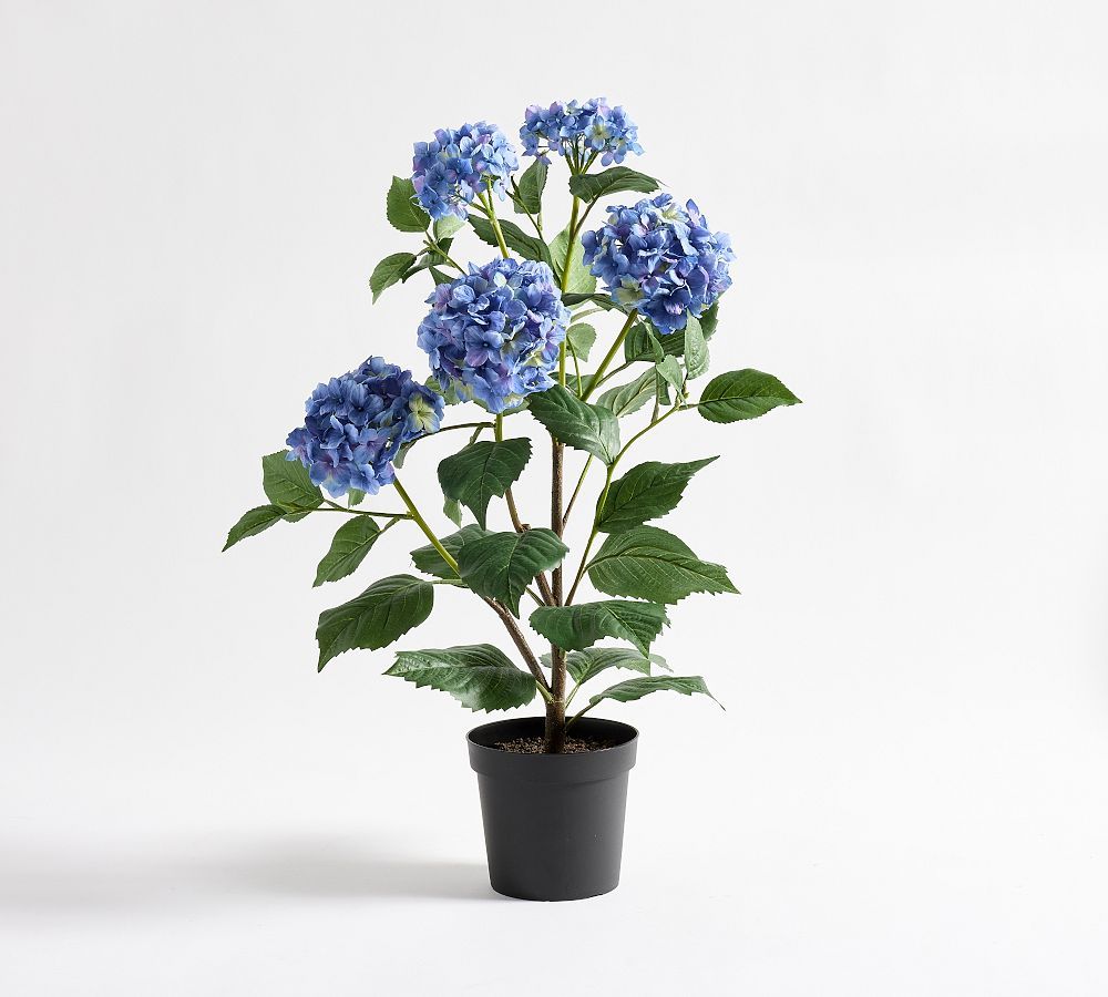 Faux Potted Blue Hydrangea | Pottery Barn (US)