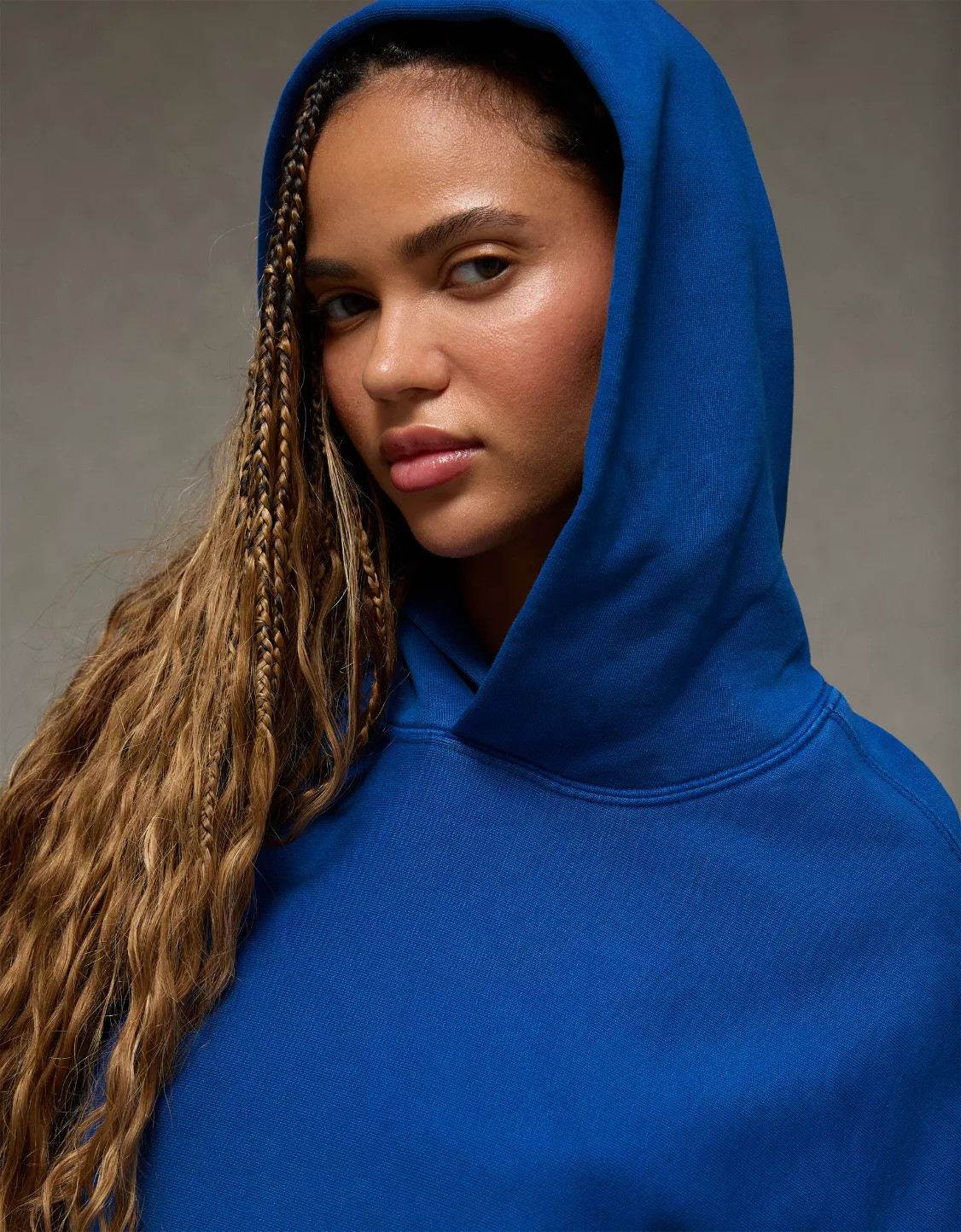 AE Laidback Luxe Heavyweight Hoodie | American Eagle Outfitters (US & CA)