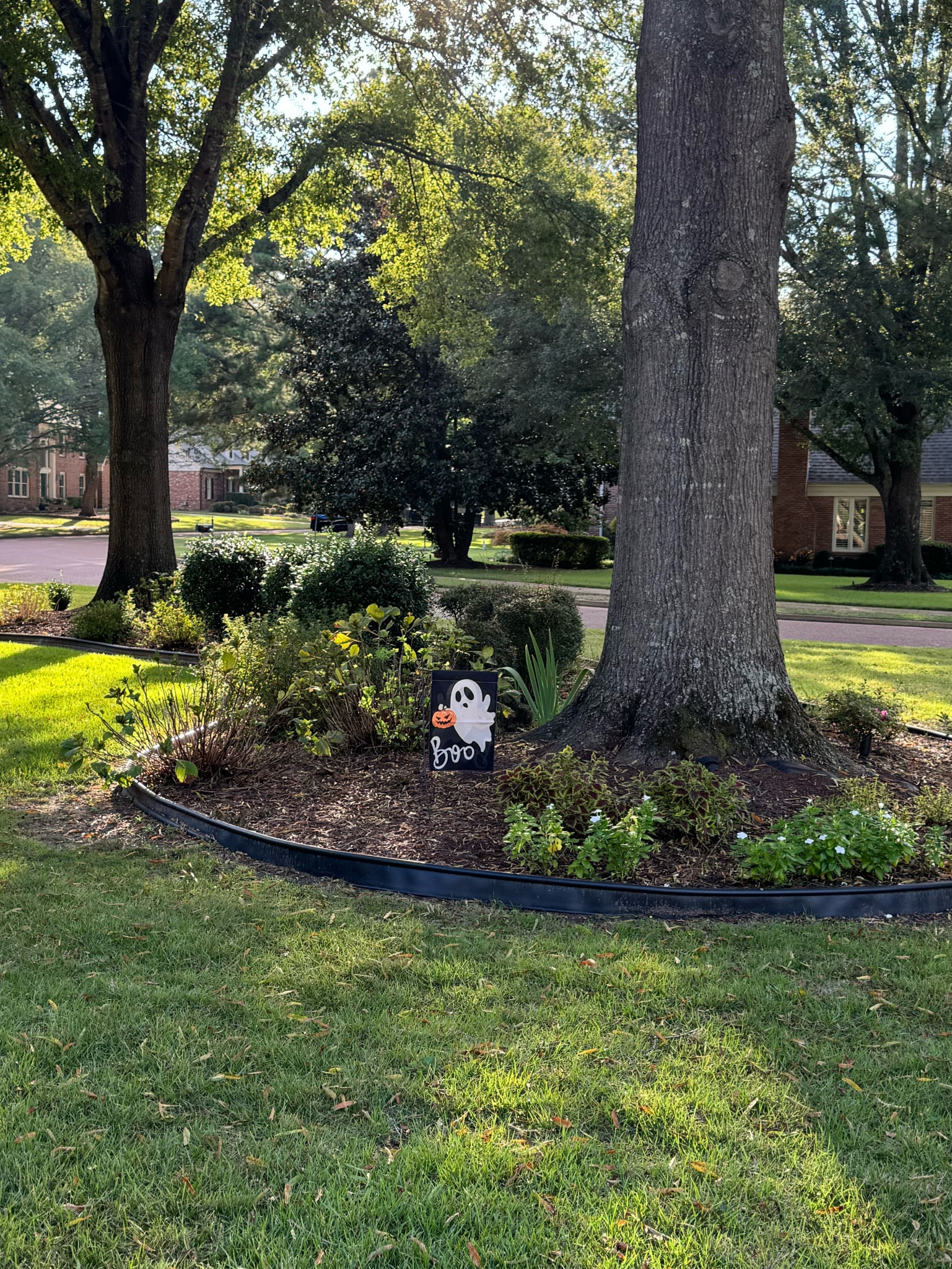 $8 garden flag 
Cute Halloween decor
Inexpensive Halloween decorations 
Cheap Halloween decorations 

#LTKHome #LTKSeasonal