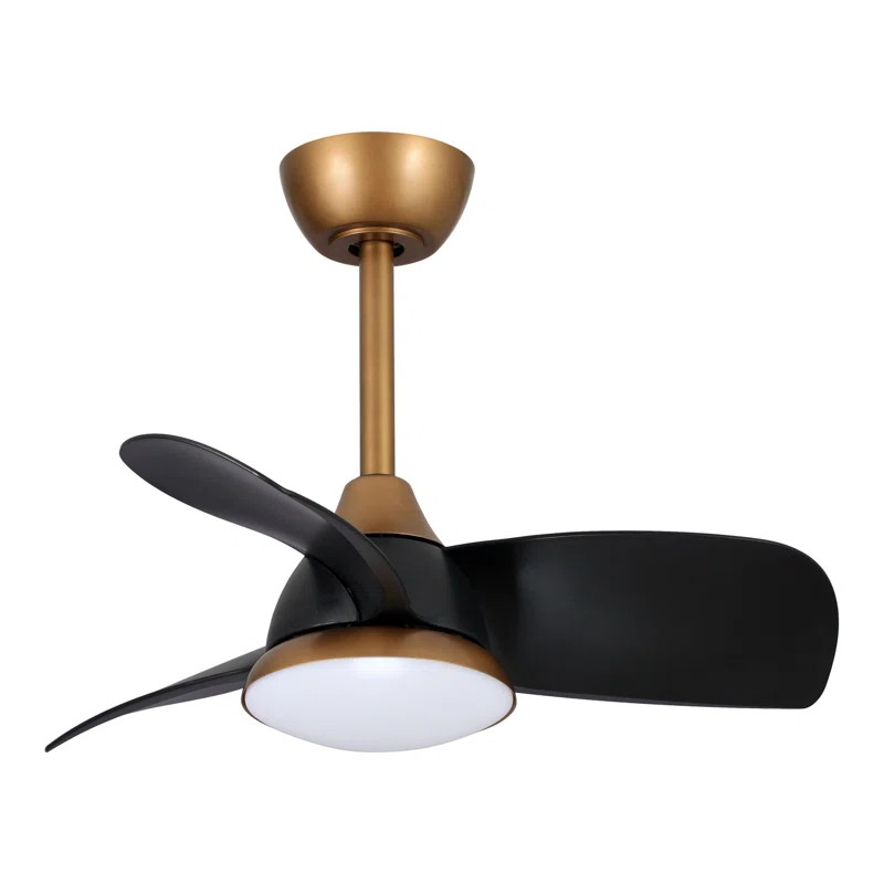 Haywa 28'' Ceiling Fan with LED Lights | Wayfair North America