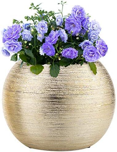 7-Inch Round Modern Gold-Tone Metallic Ceramic Plant Flower Planter Pot, Decorative Bowl Vase | Amazon (US)