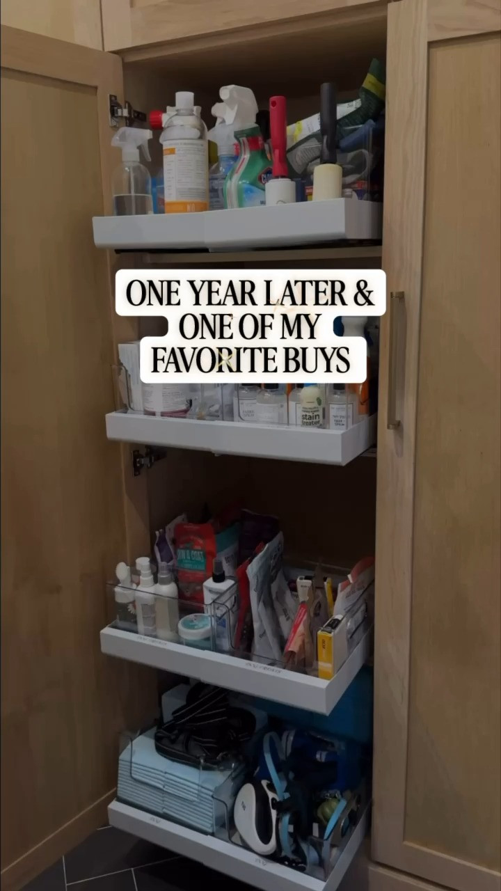 One year later & and one of my favorite buys! 

pull out cabinet organizers, flat extension cord, dishwasher magnet clean dirty sign, bag storage organizer, turntable for refrigerator, bamboo drawer dividers 

 #LTKHome #LTKSaleAlert #LTKFindsUnder100