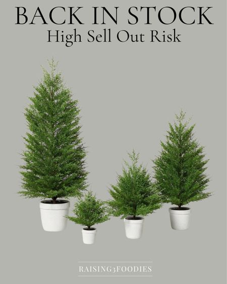 Hearth & Hand with Magnolia for Target Cypress trees are back in stock!  They are so pretty and will sell out again so get them if you want them!  


Christmas holiday home decor 

#LTKhome #LTKstyletip #LTKHoliday