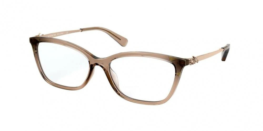 Coach 6146U Eyeglasses 5561 - Brown Women Butterfly | Designer Optics