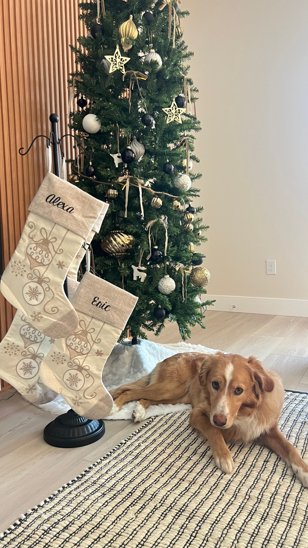 If you don’t have a fireplace or mantle, a stocking stand is such a smart solution for the holidays. It’s easy to assemble, easy to store, and looks so elegant next to the tree. I set ours right beside our black-white-gold Christmas tree this year, and it blends in beautifully.

Sharing a closer look plus a few other stand options you can use to create the same cozy setup in your space. Everything is linked. 🎄✨

#LTKSeasonal #LTKHome #LTKHoliday