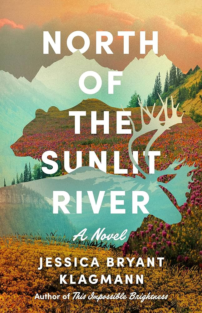 North of the Sunlit River: A Novel | Amazon (US)