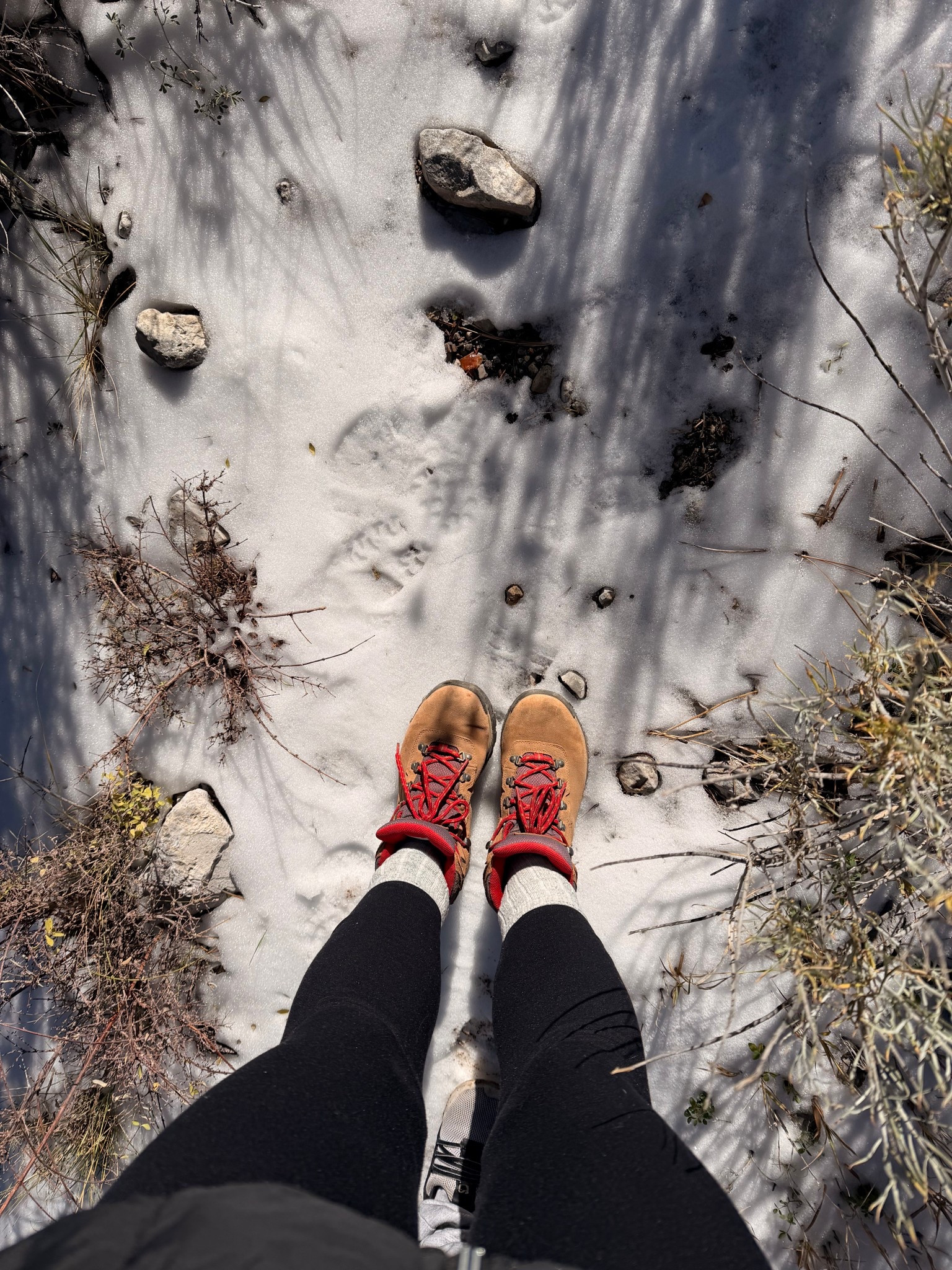 Best hiking boots! 

#LTKTravel #LTKActive #LTKSeasonal