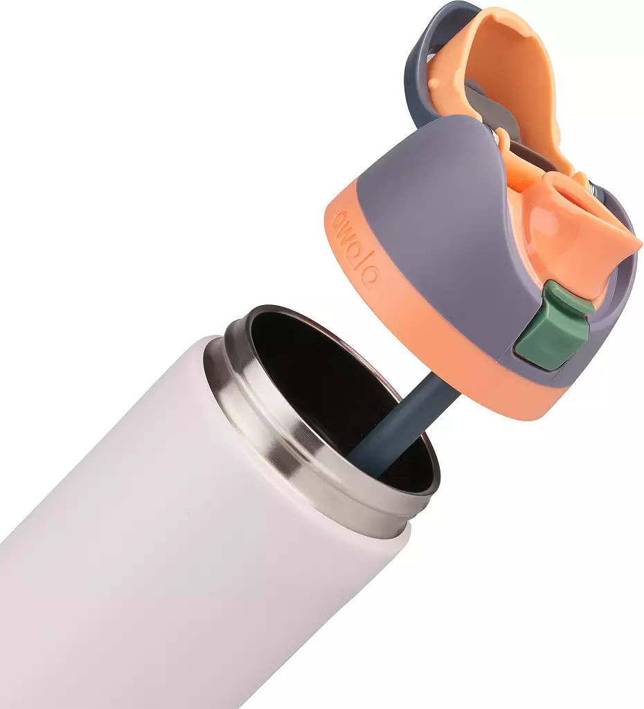 Owala 24 oz. FreeSip Stainless Steel Water Bottle | DICK'S Sporting Goods