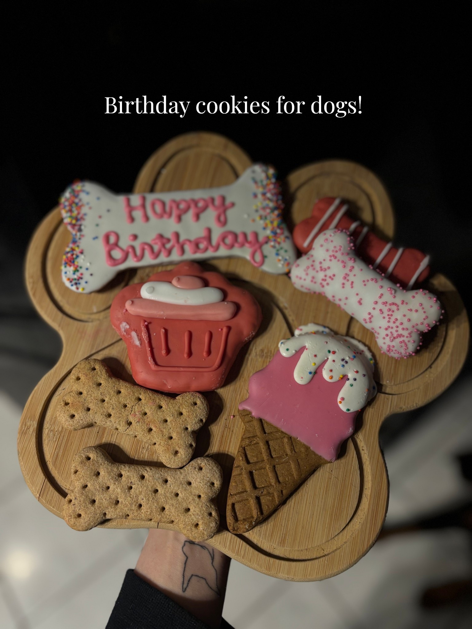 Birthdays for dogs pt. 5 #LTKPets #LTKDogs 

#LTKmomlife