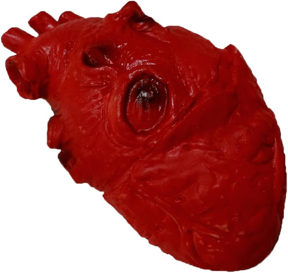 NOVELTY GIANT WWW.NOVELTYGIANT.COM Life Size Foam Heart Gory Halloween Prop | Amazon (US)
