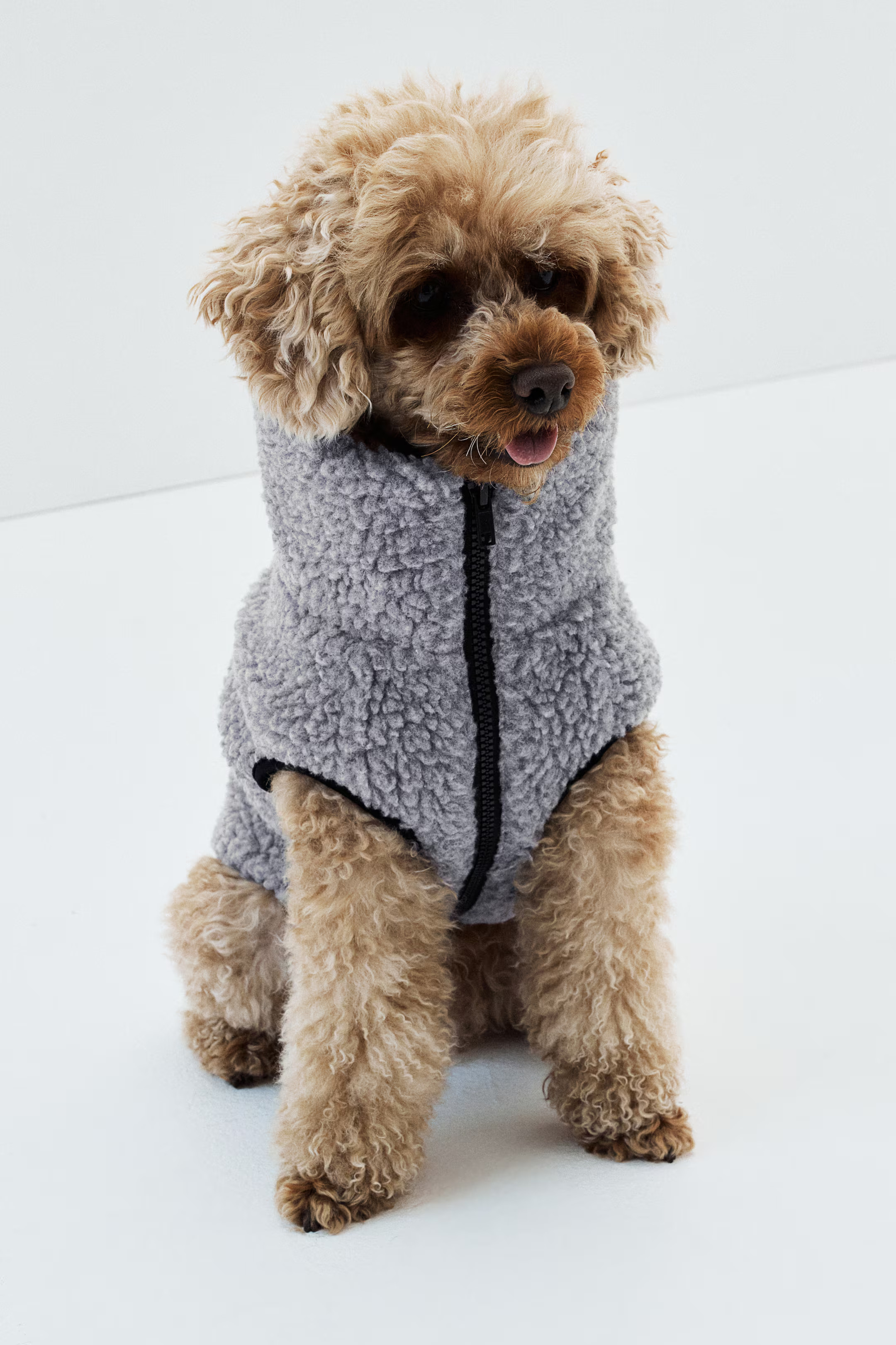 Teddy Fleece Dog Jacket | H&M (US + CA)