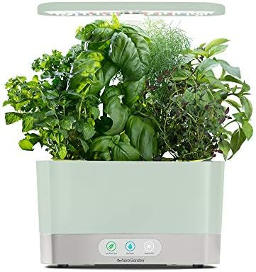 AeroGarden Sage Harvest Indoor Garden | Amazon (US)