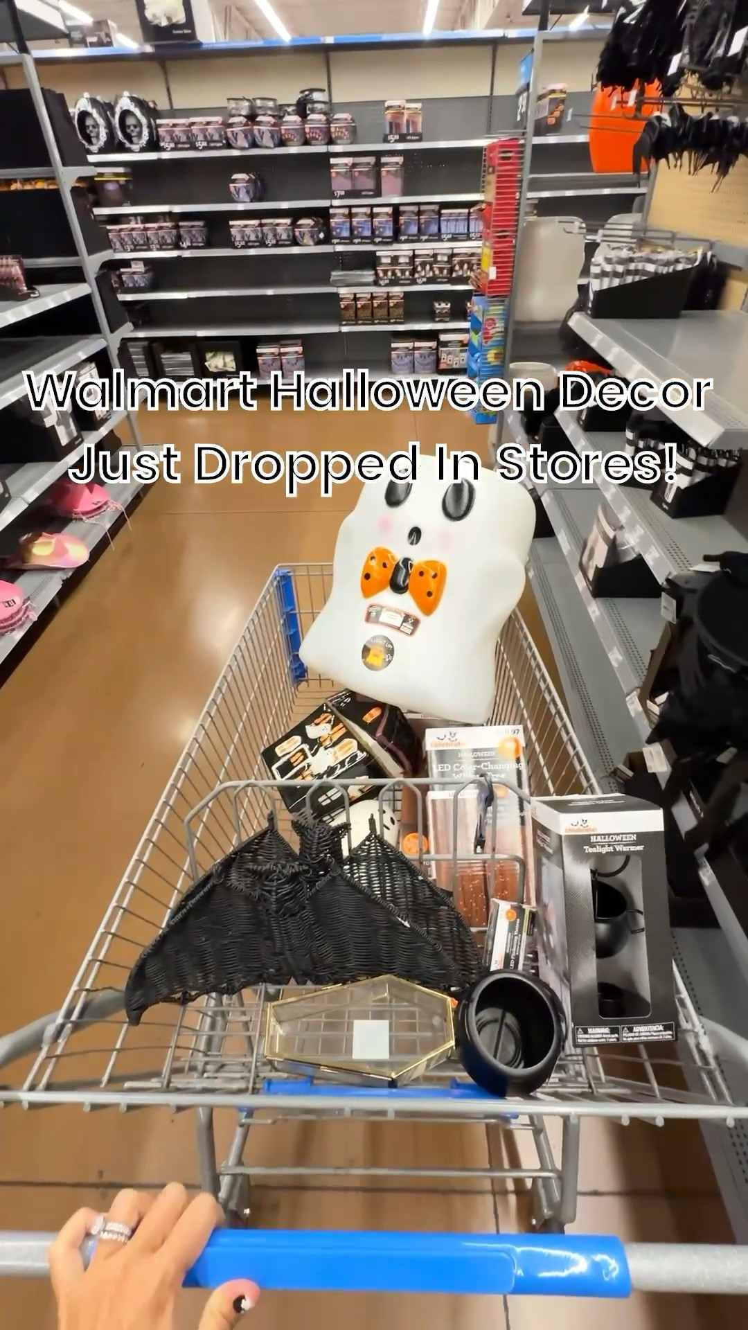 Walmart Halloween decor is here! I’m linking it all for you here! 

#LTKSeasonal #LTKHome