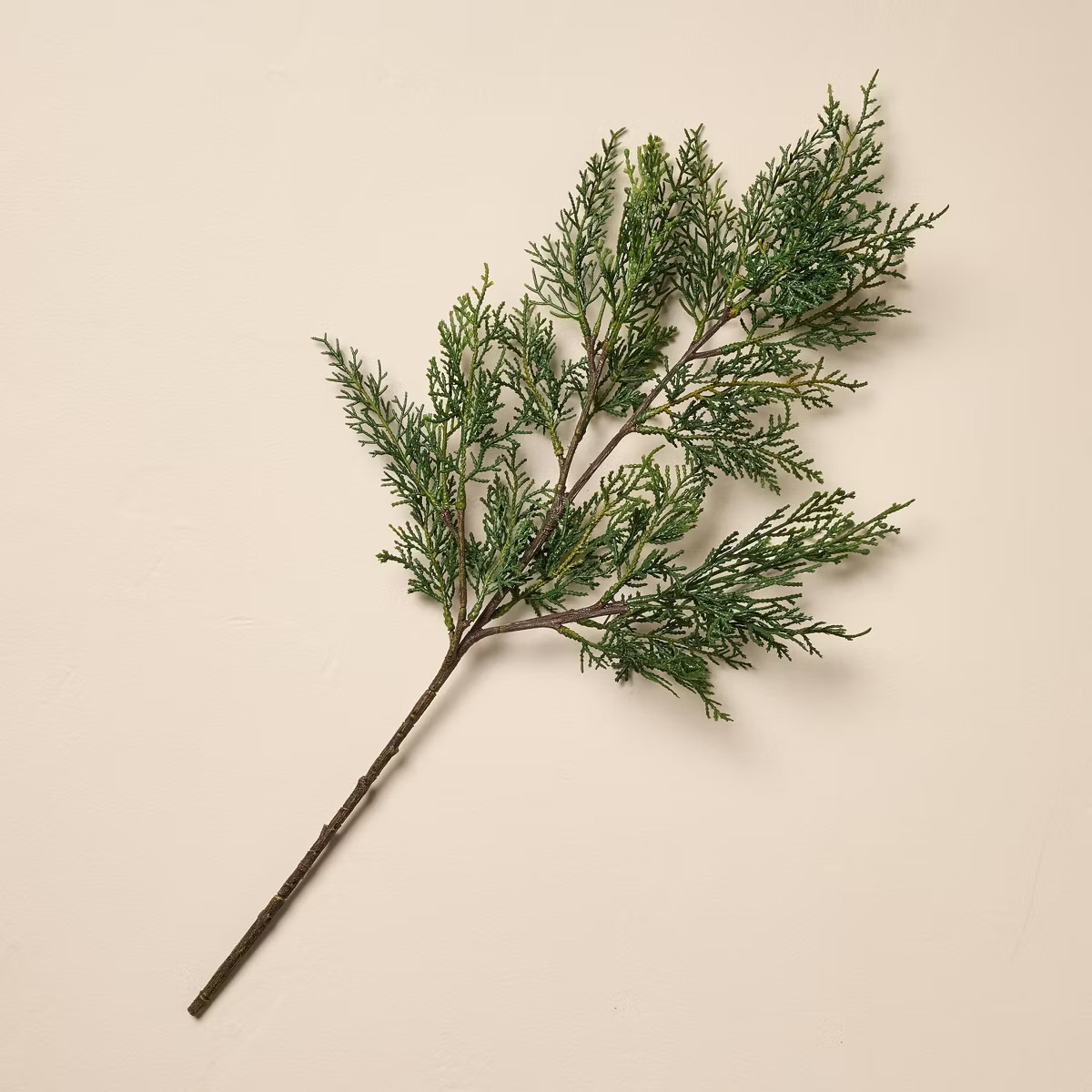 25" Cedar Artificial Stem - Hearth & Hand™ with Magnolia | Target