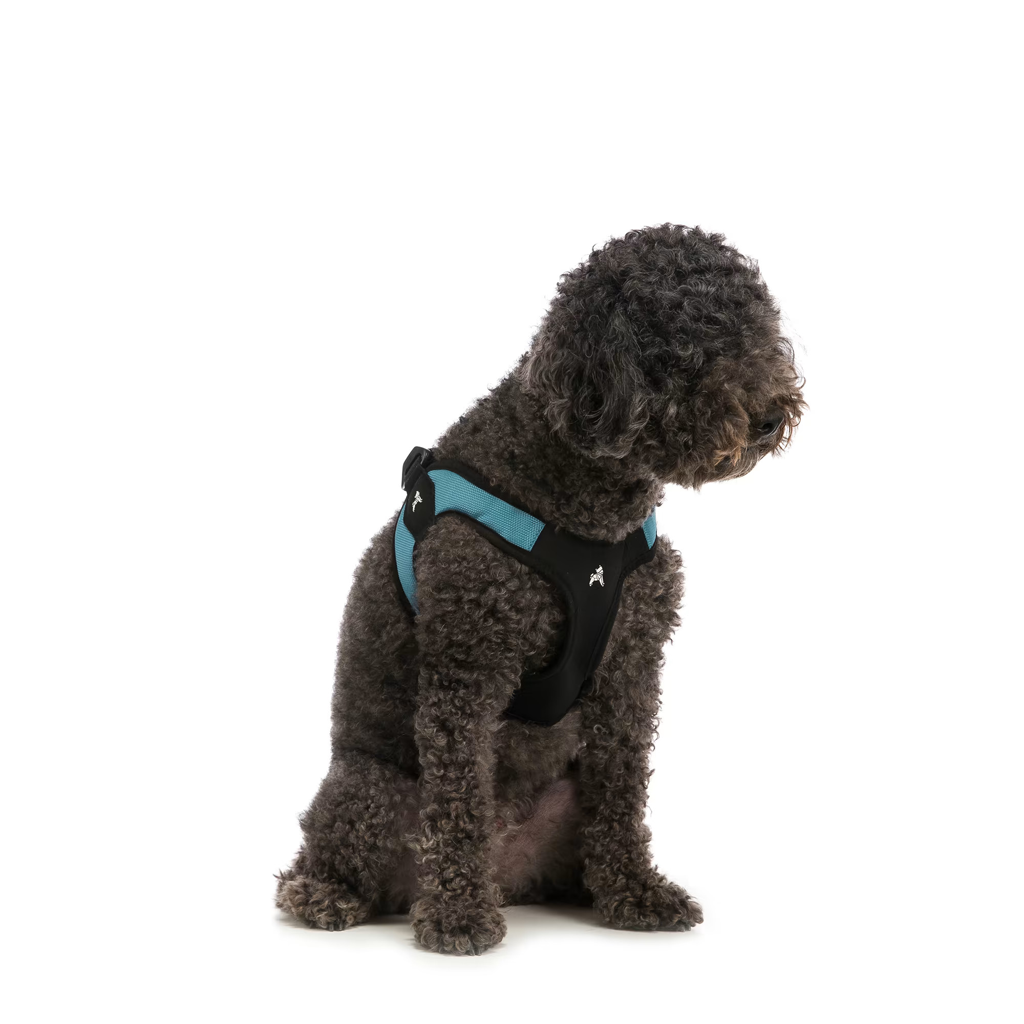 Gooby Escape Free Harness in Turquoise, Medium | Petco