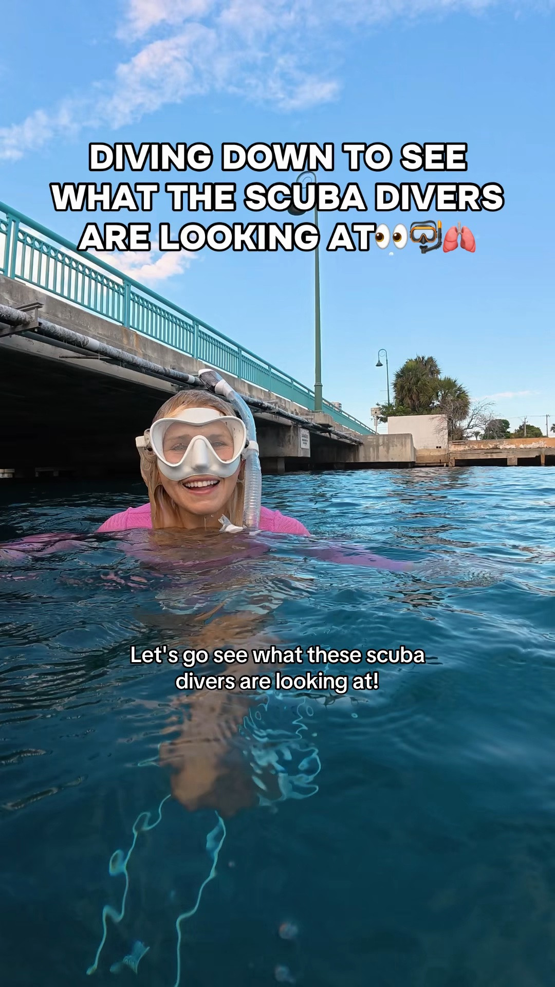Did you know this animal can literally EJECT its internal organs out of its body when it feels threatened… and then just grow them all back?😱👀 

#freediving #ocean #marinelife #florida #scubadiving

#LTKActive