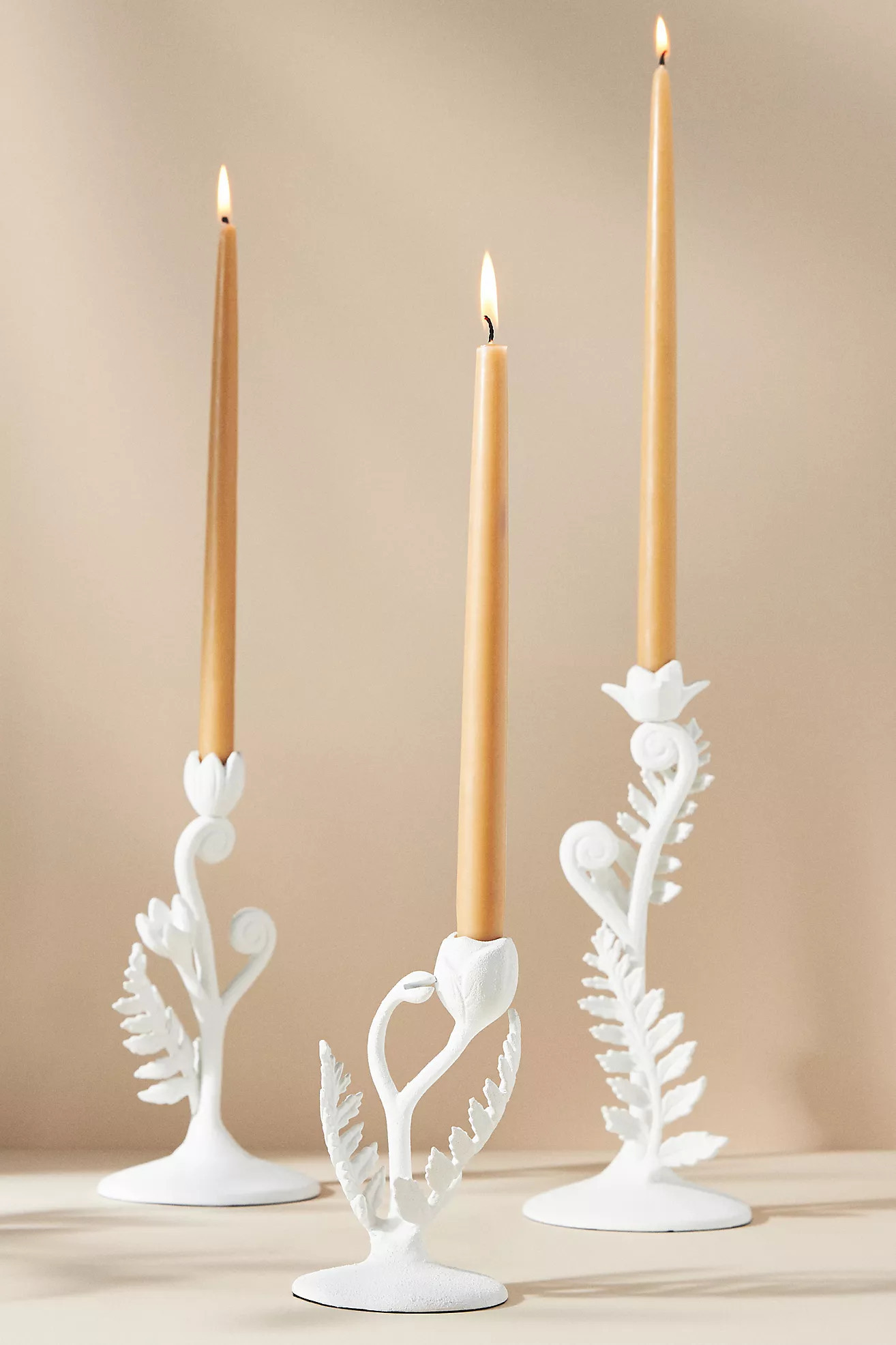 Fiddlehead Fern Taper Candle Holder | Anthropologie (US)