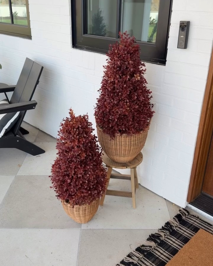 Loving this little fall trees! I got baskets for them!

#LTKSaleAlert #LTKHome #LTKSeasonal