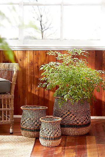 Diamond Stripe Woven Basket Pot, 10" | Anthropologie (US)