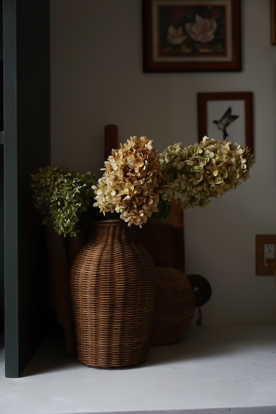 Sunlight & Dried stems make me smile! 

#springsale
#springhomefinds
#springdecor

Amazon home
Walmart home

#LTKSeasonal #LTKHome #LTKSpringSale
