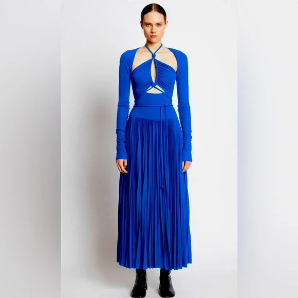 Proenza Schouler Cut out halter pleaded jersey maxi dress | Poshmark