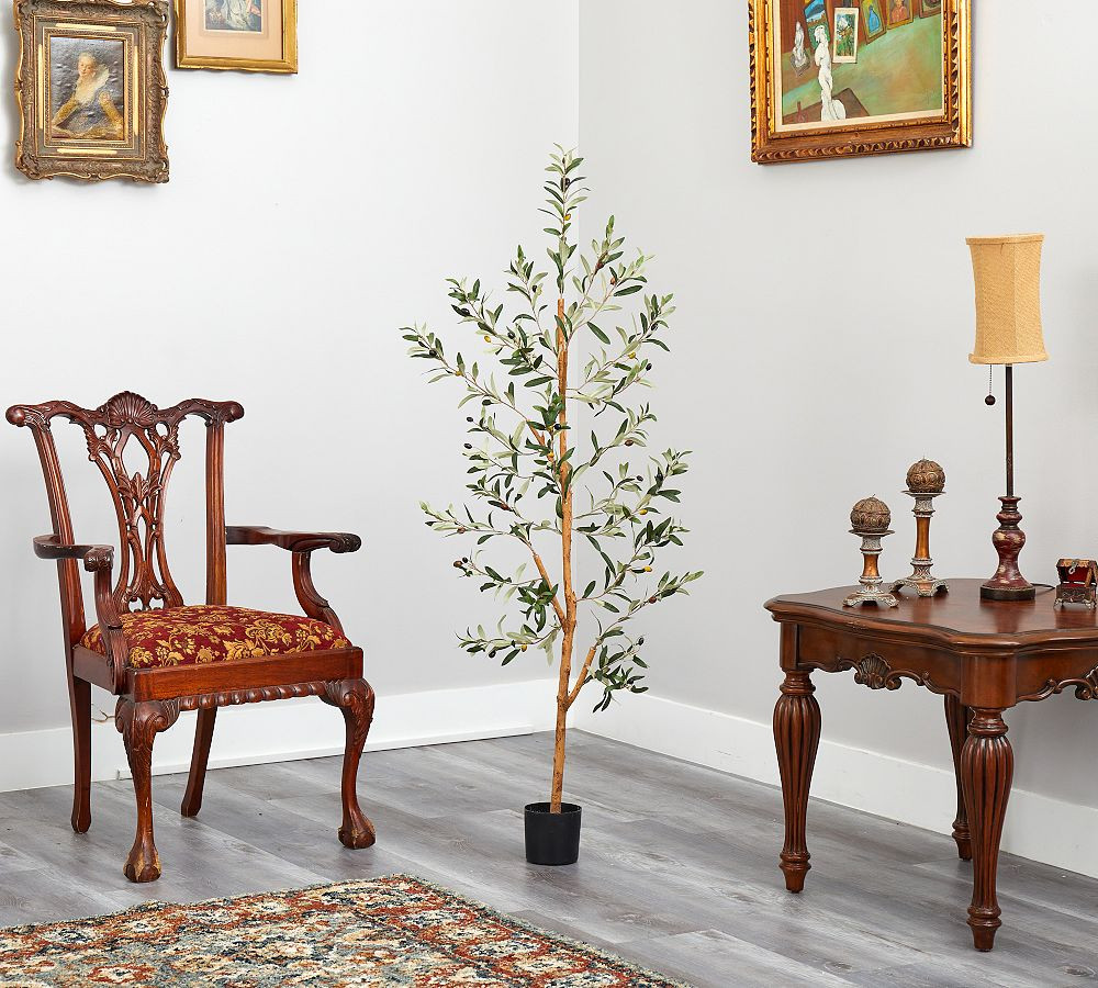 Faux Olive Trees | Pottery Barn (US)