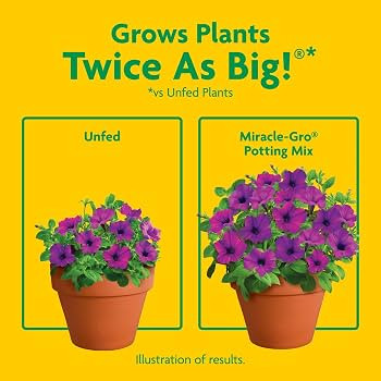 Miracle-Gro Potting Mix 8 qt., 2-Pack | Amazon (US)