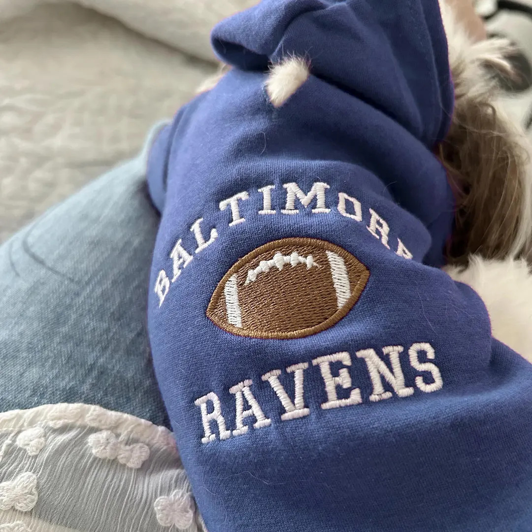 Custom Embroidered Dog Sports Hoodie: Personalized Pet Team Jersey - Etsy | Etsy (US)